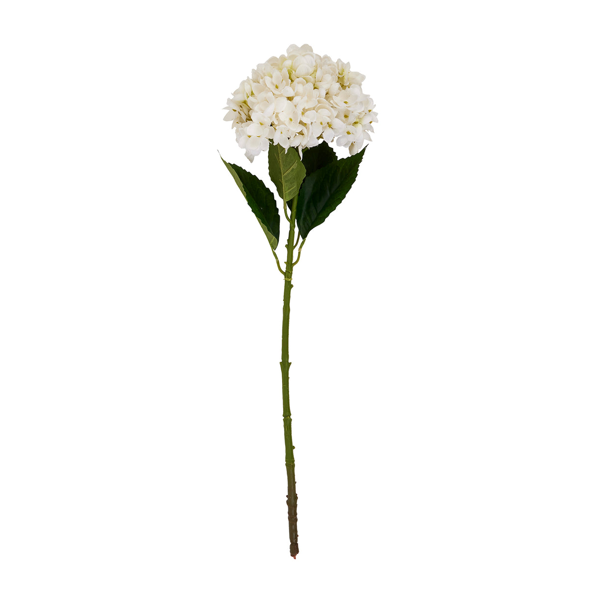 White Hydrangea Stem - White