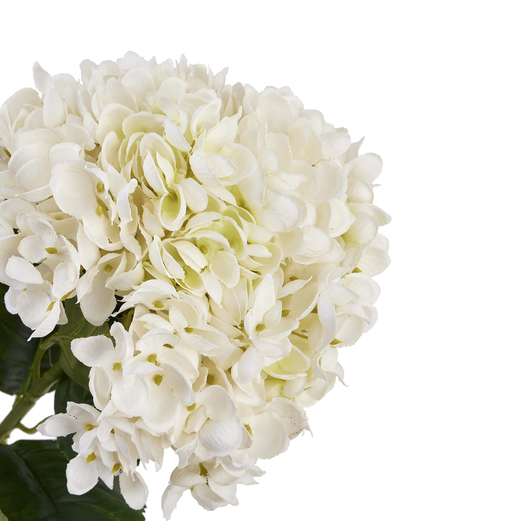 White Hydrangea Stem - White
