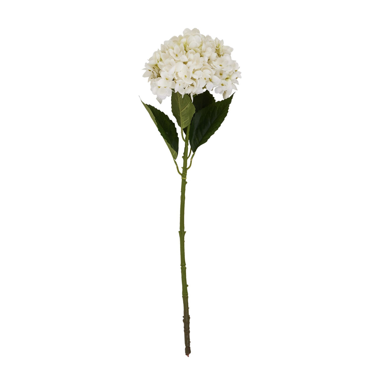 White Hydrangea Stem - White
