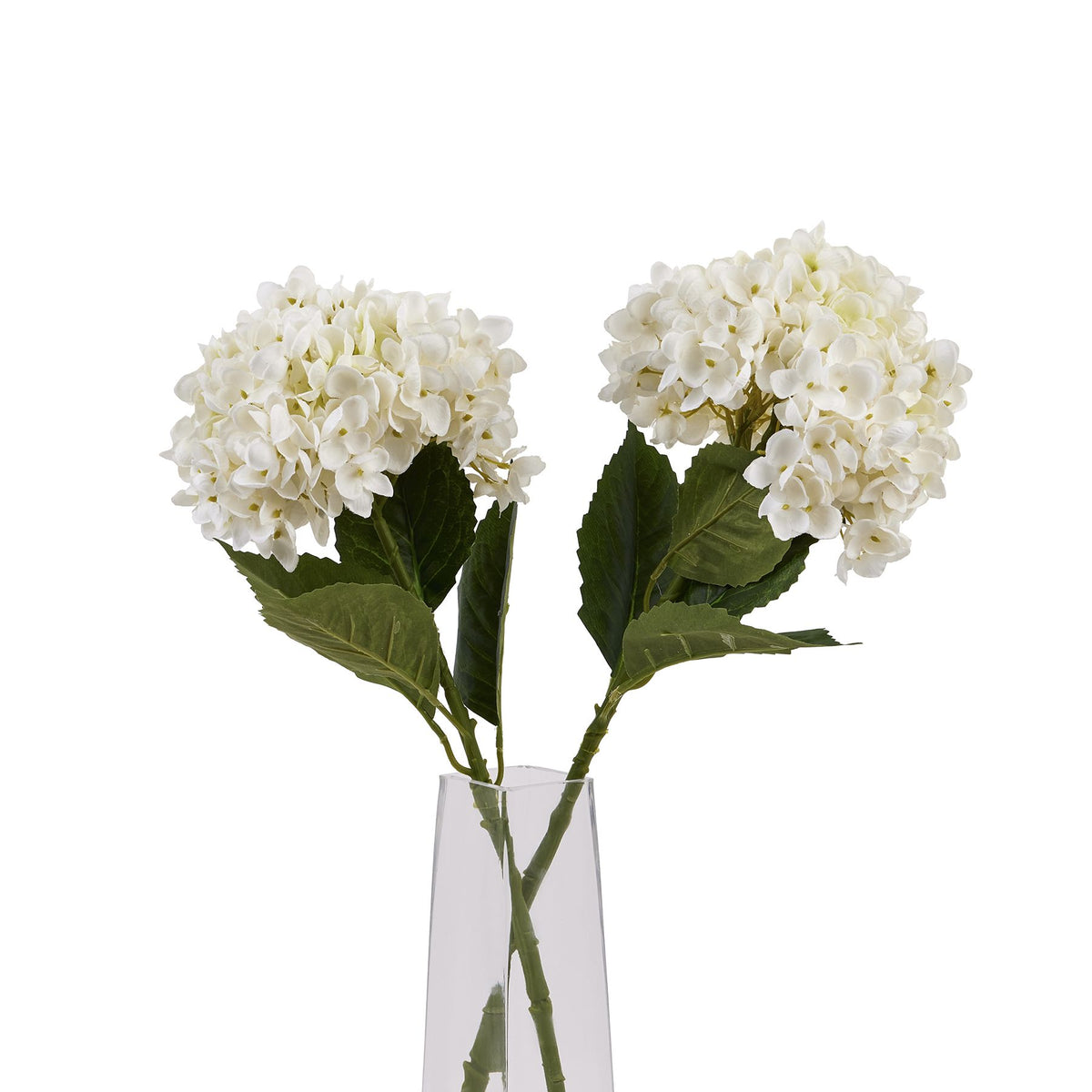 White Hydrangea Stem - White