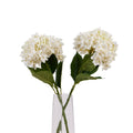 White Hydrangea Stem - White