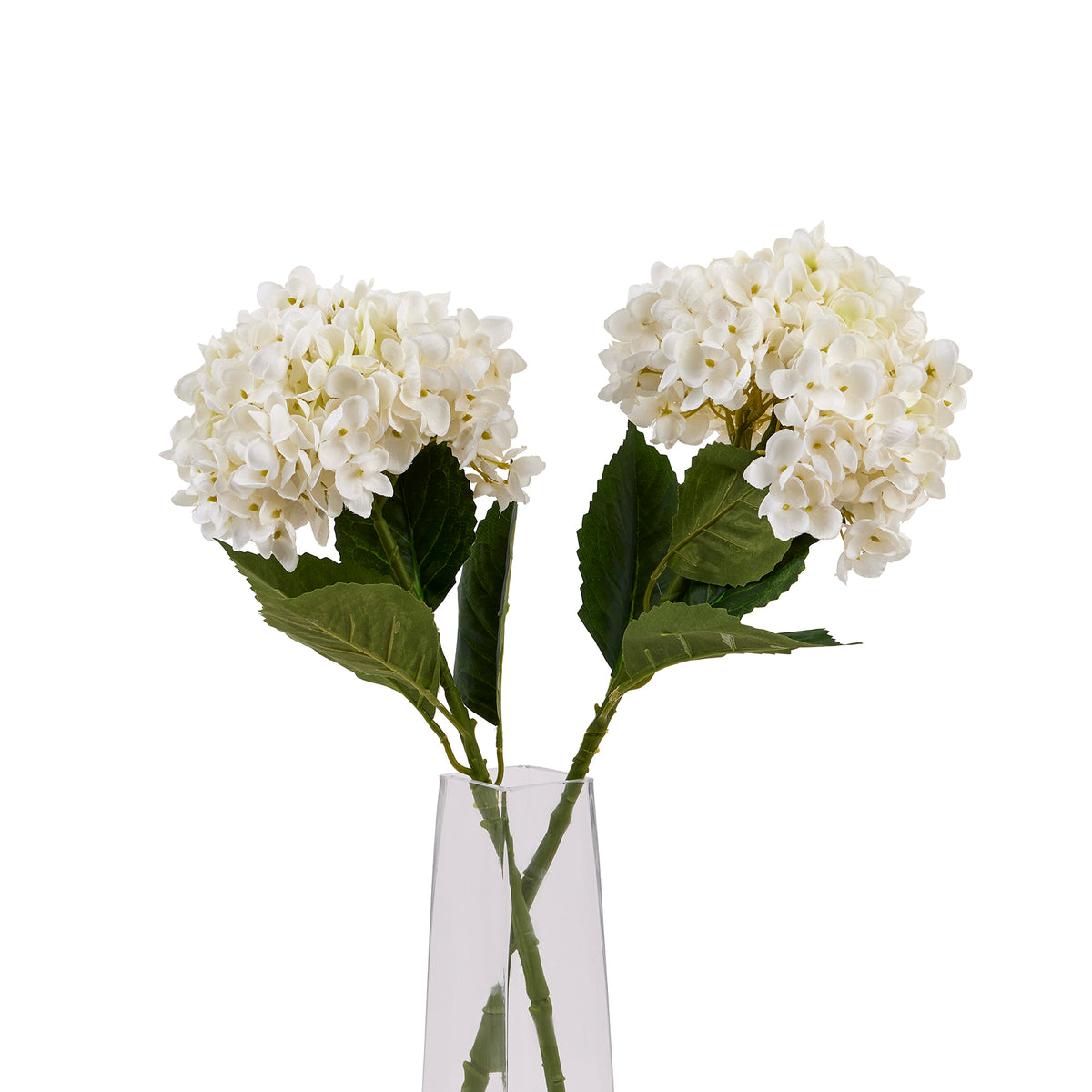 White Hydrangea Stem - White