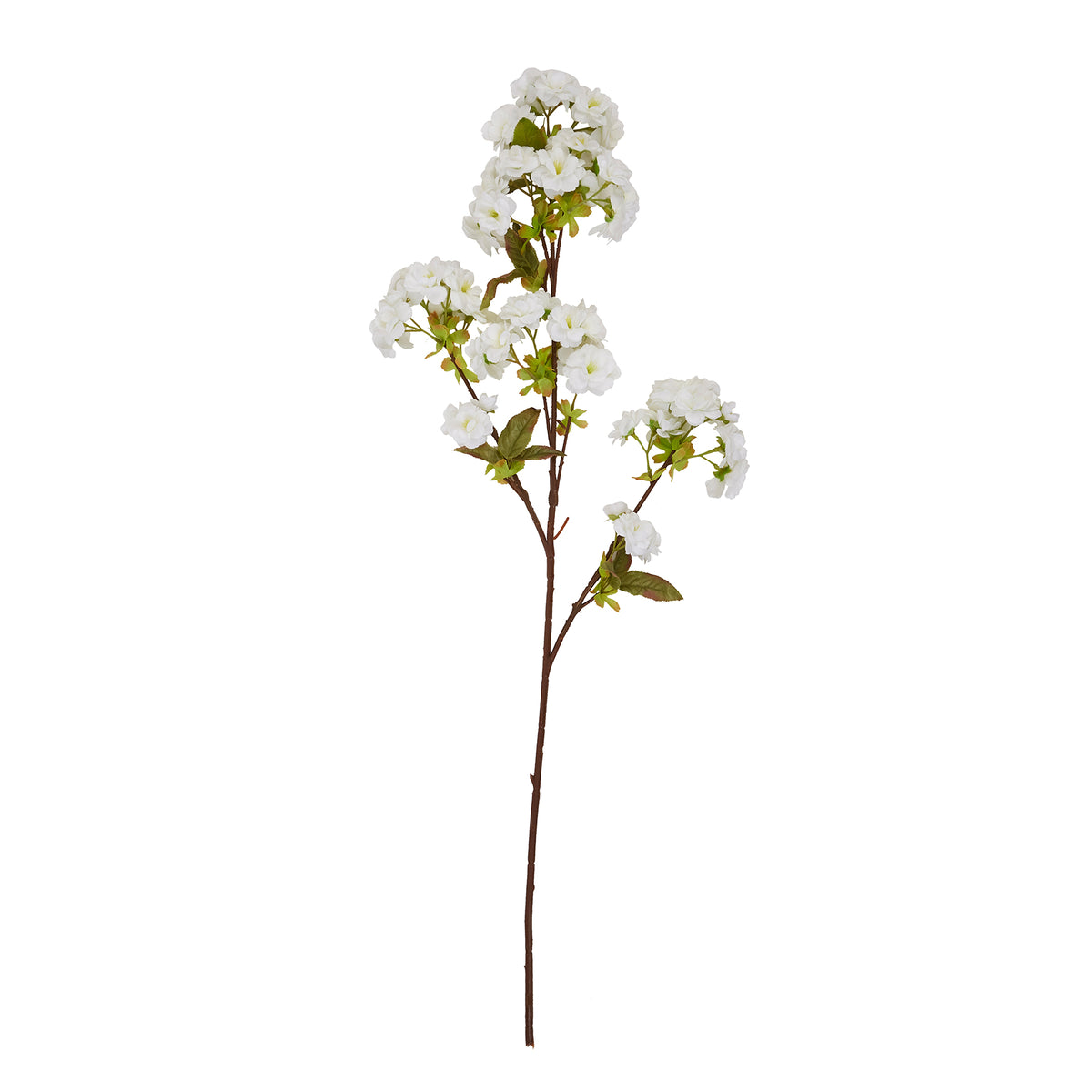 Tall White Blossom - White