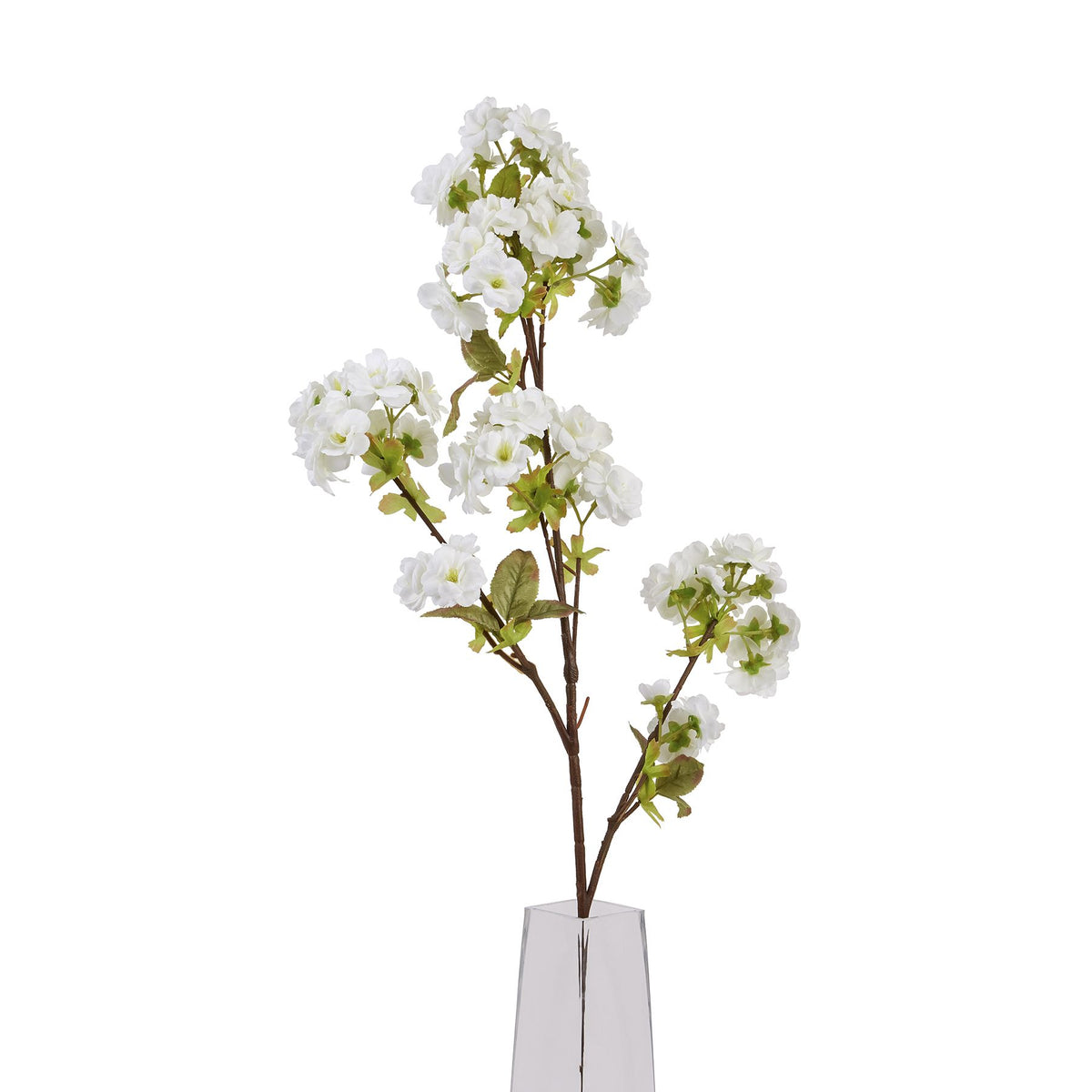Tall White Blossom - White