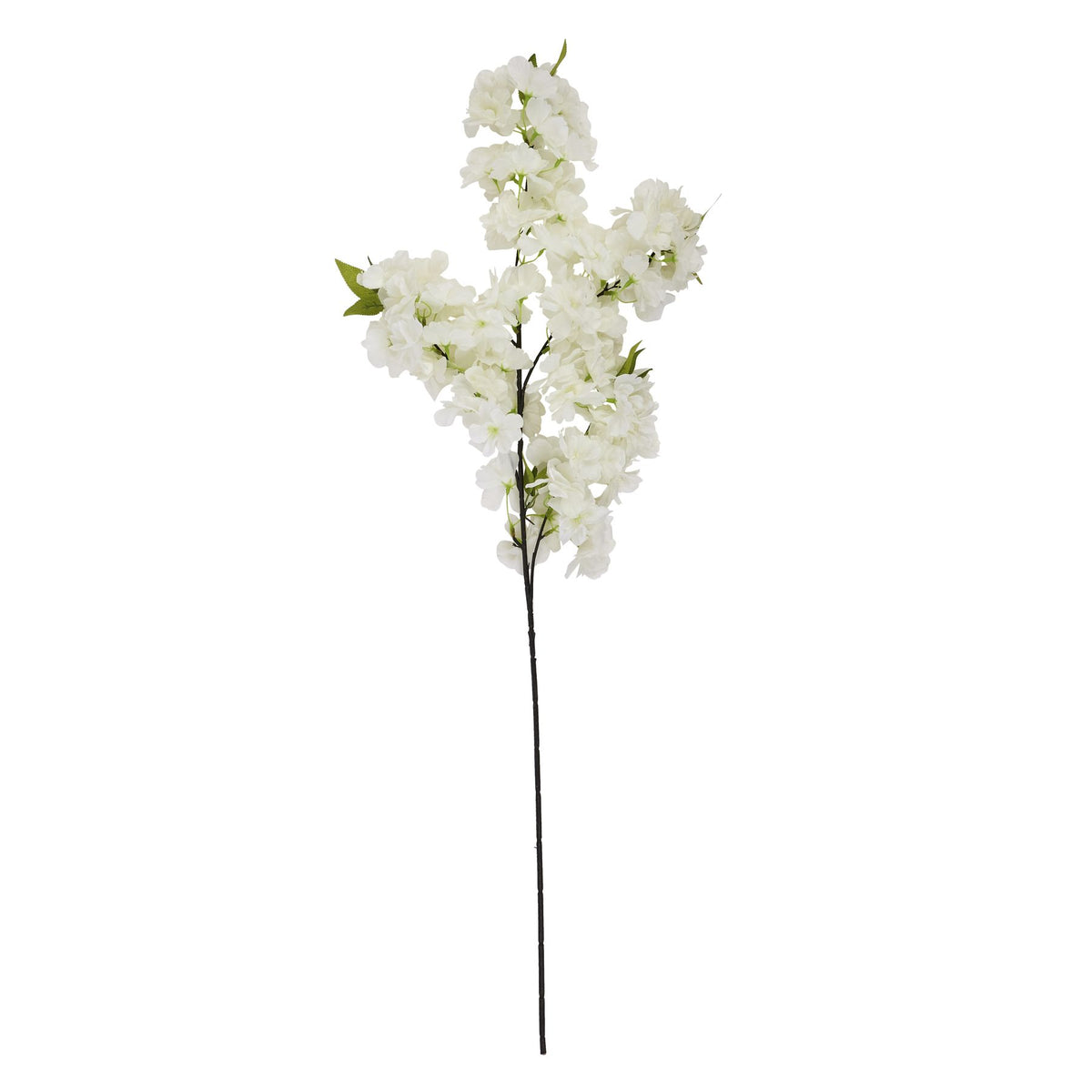 Large White Full Cherry Blossom Stem - White
