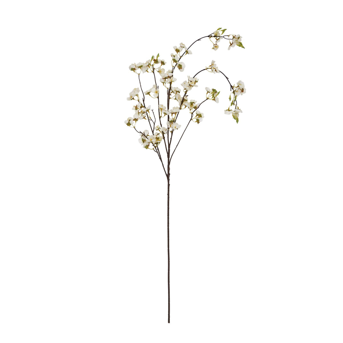 White Japanese Blossom - White