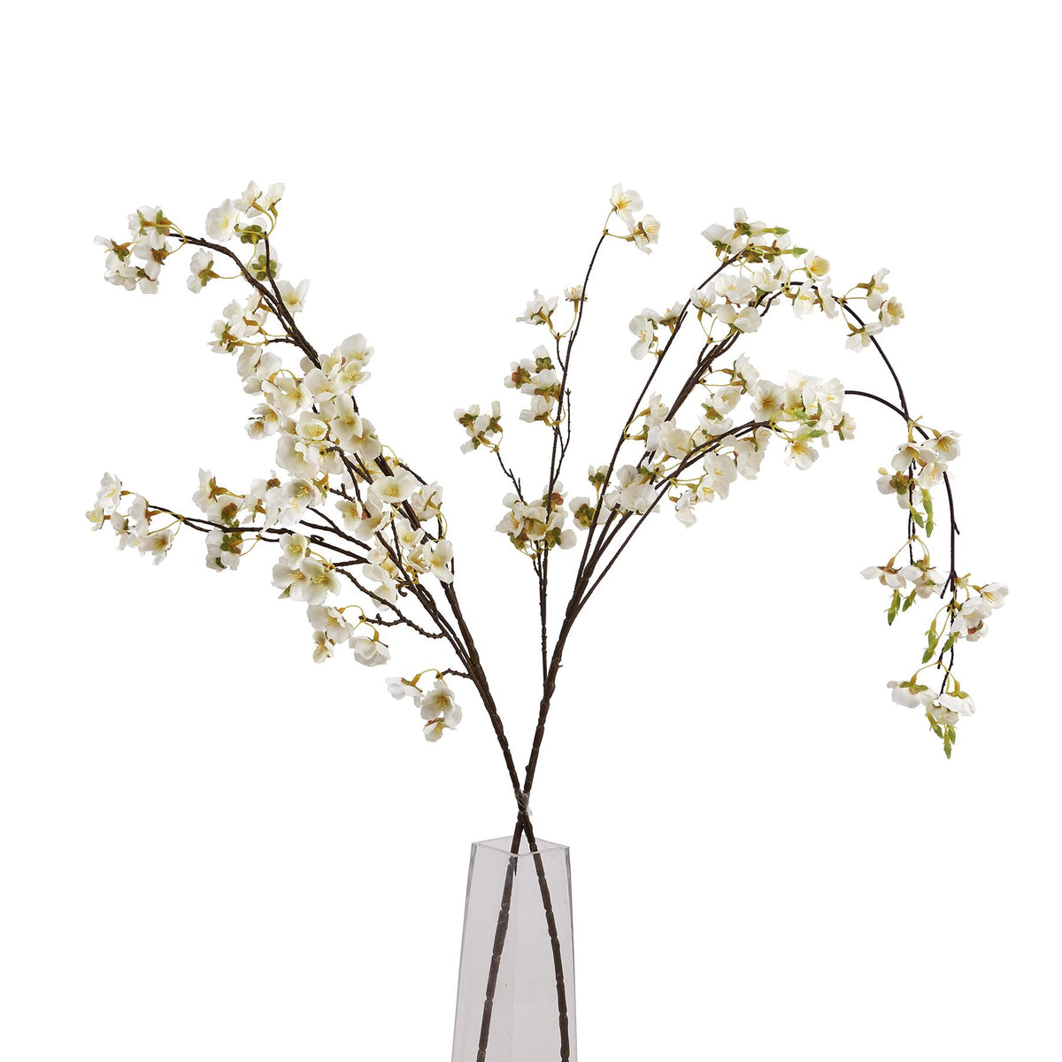 White Japanese Blossom - White