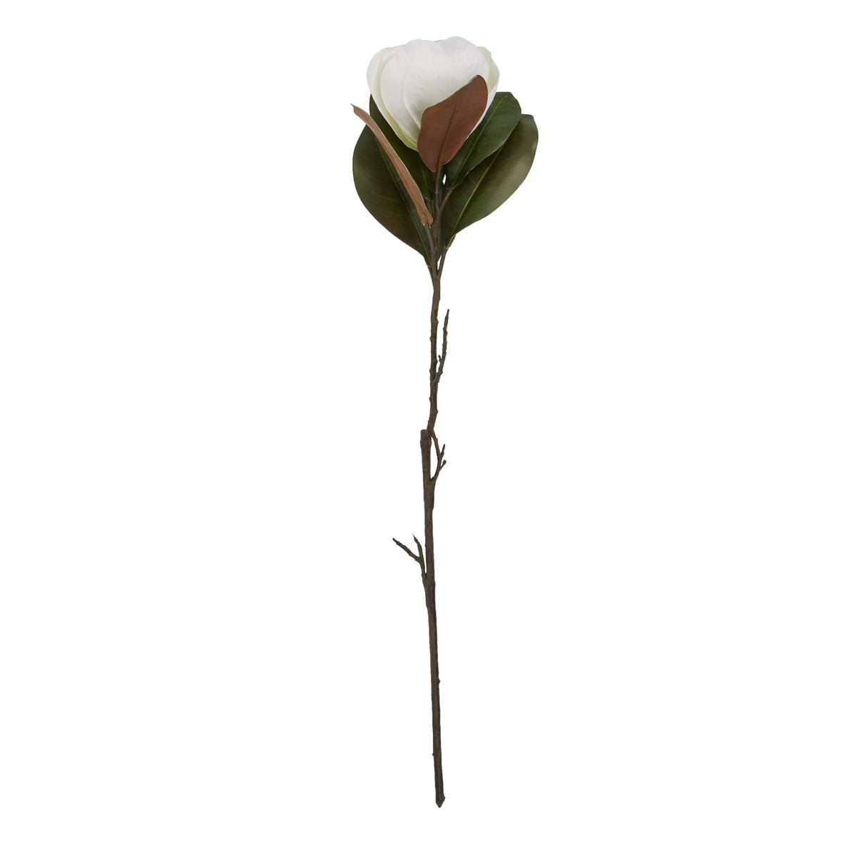 Natural Garden Collection White Magnolia Stem - White