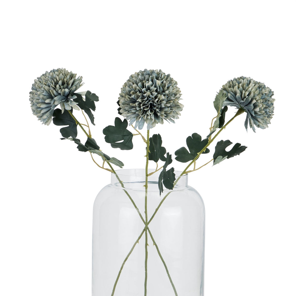 Pale Green Blue Short Chrysanthemum - Pale green