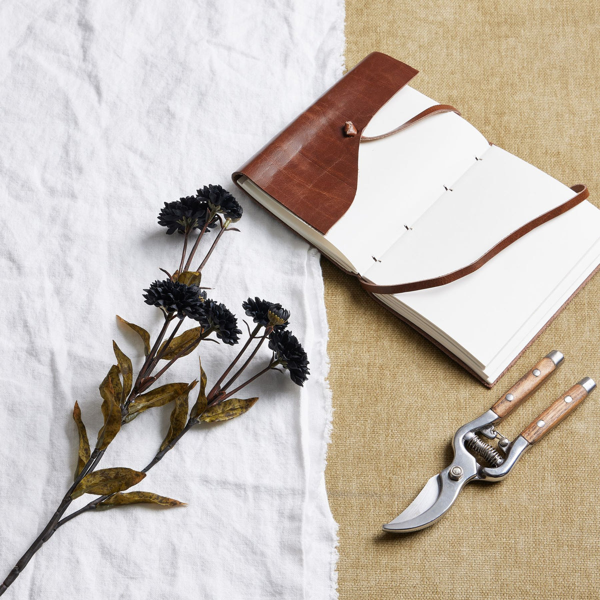 Black Chrysanthemum - Black