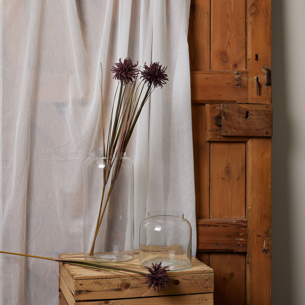 Burgundy Aster Spider Chrysanthemum Stem - Burgundy