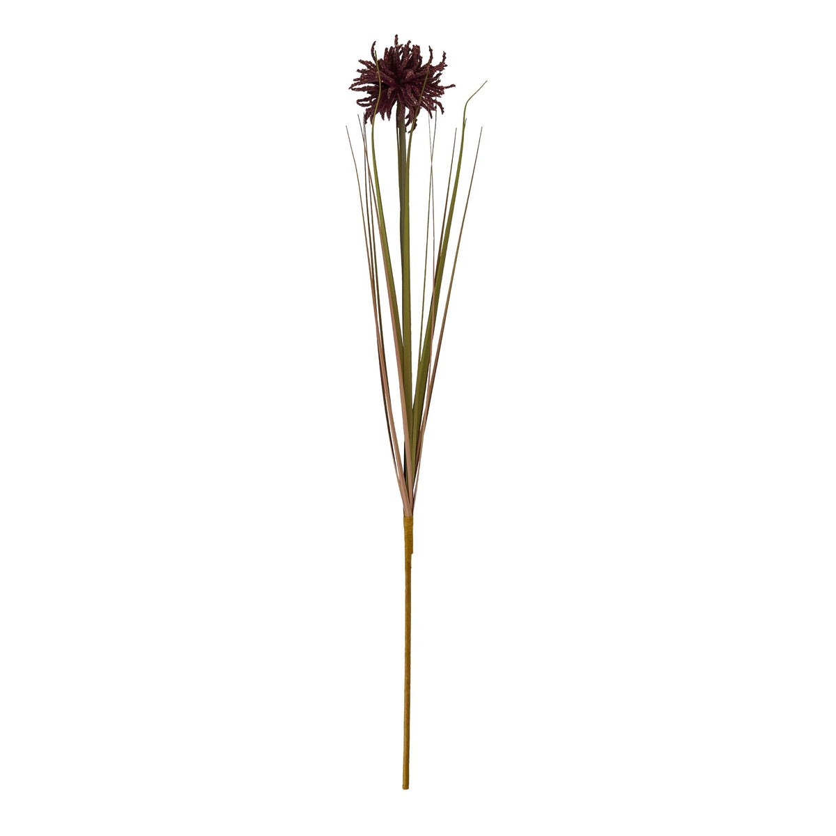Burgundy Aster Spider Chrysanthemum Stem - Burgundy