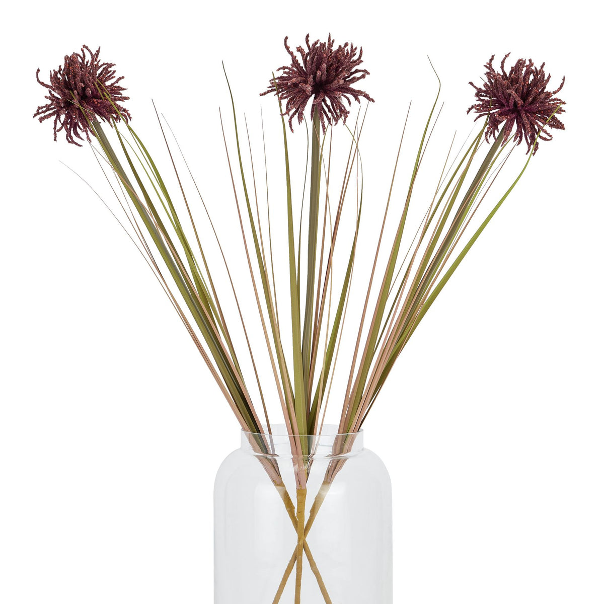 Burgundy Aster Spider Chrysanthemum Stem - Burgundy
