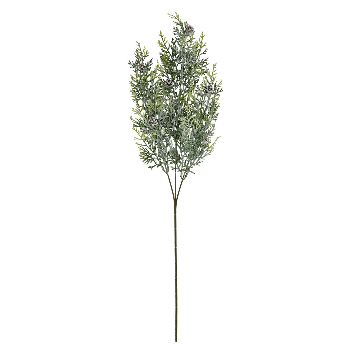 Frosted Pine Tall Stem with Pinecones - White