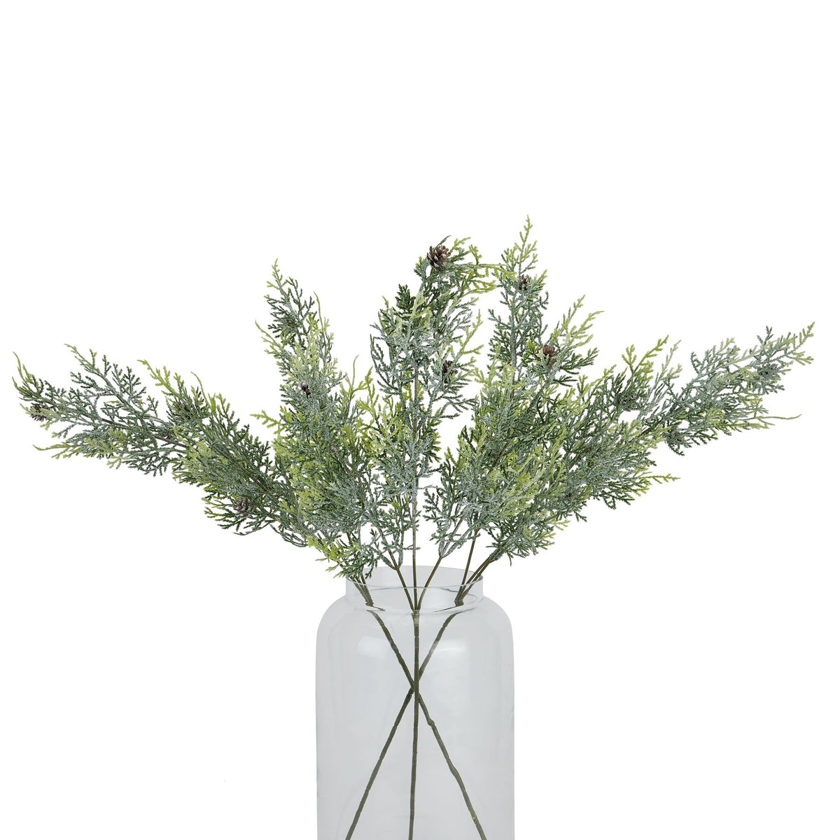 Frosted Pine Tall Stem with Pinecones - White