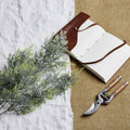 Frosted Pine Tall Stem with Pinecones - White