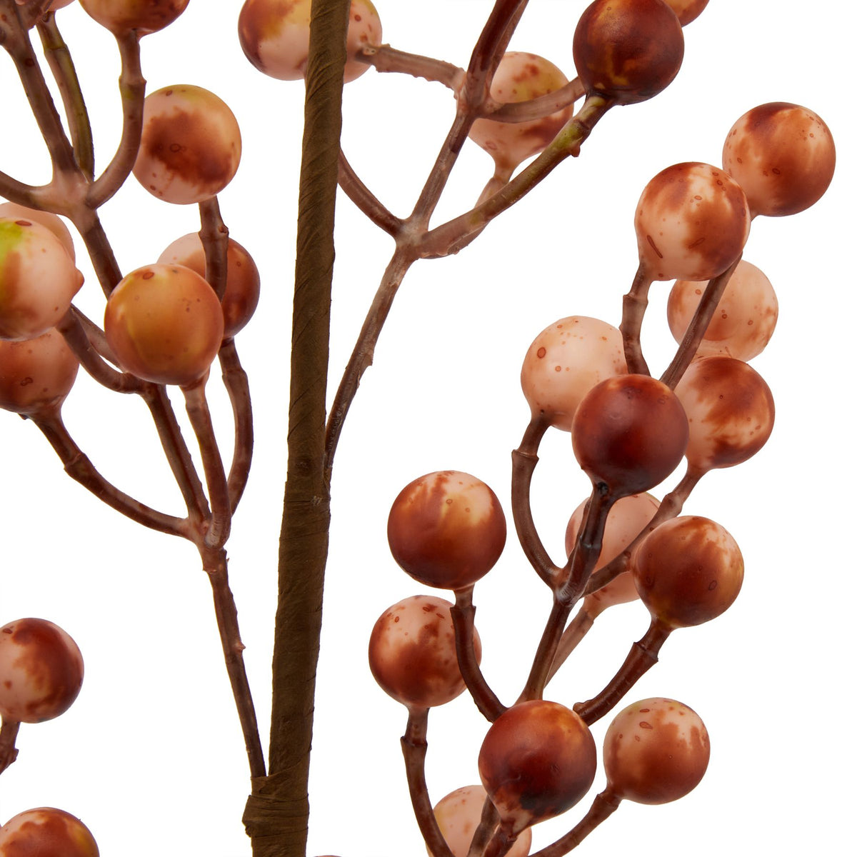 Autumn Branch Large - Cream