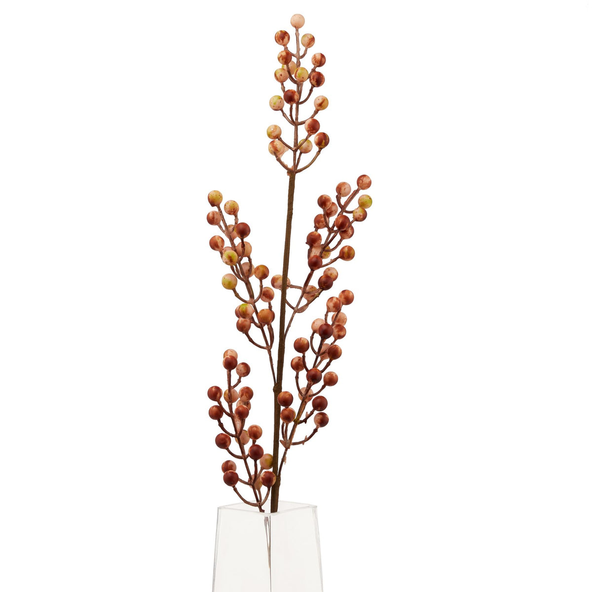 Autumn Branch Large - Cream