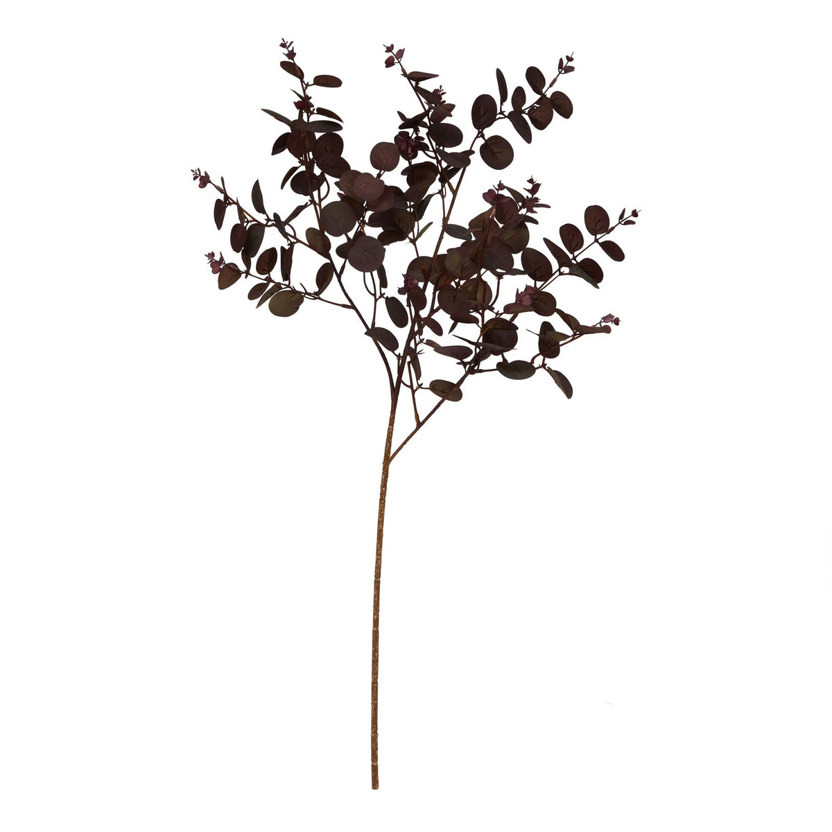 Burgundy Eucalyptus Bunch - Burgundy