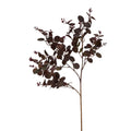 Burgundy Eucalyptus Bunch - Burgundy