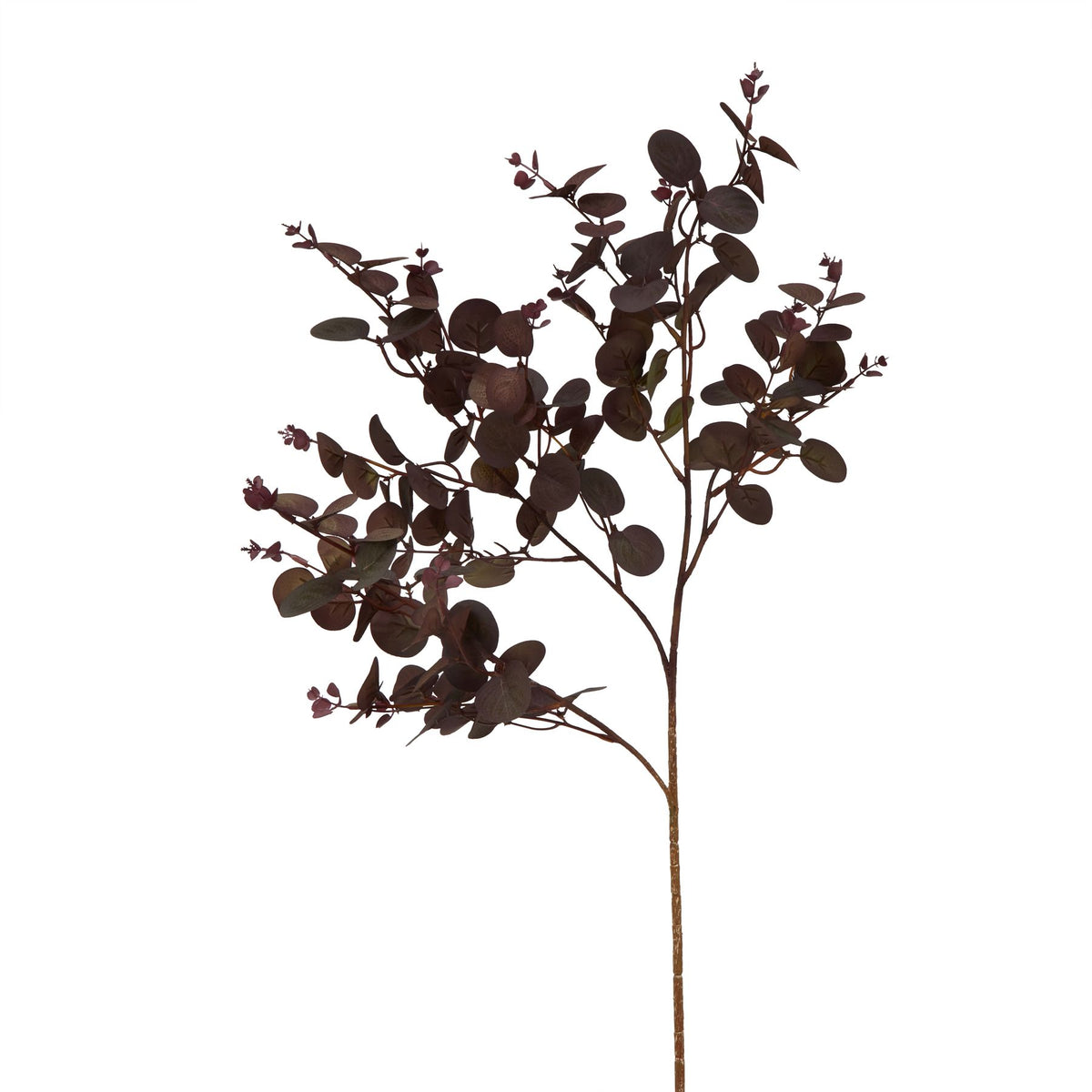 Burgundy Eucalyptus Bunch - Burgundy