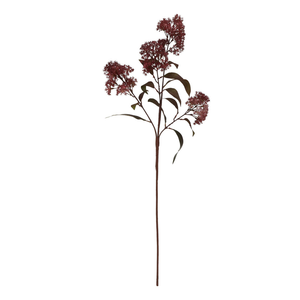 Medium Burgundy Smokebush Stem - Burgundy