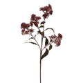 Medium Burgundy Smokebush Stem - Burgundy