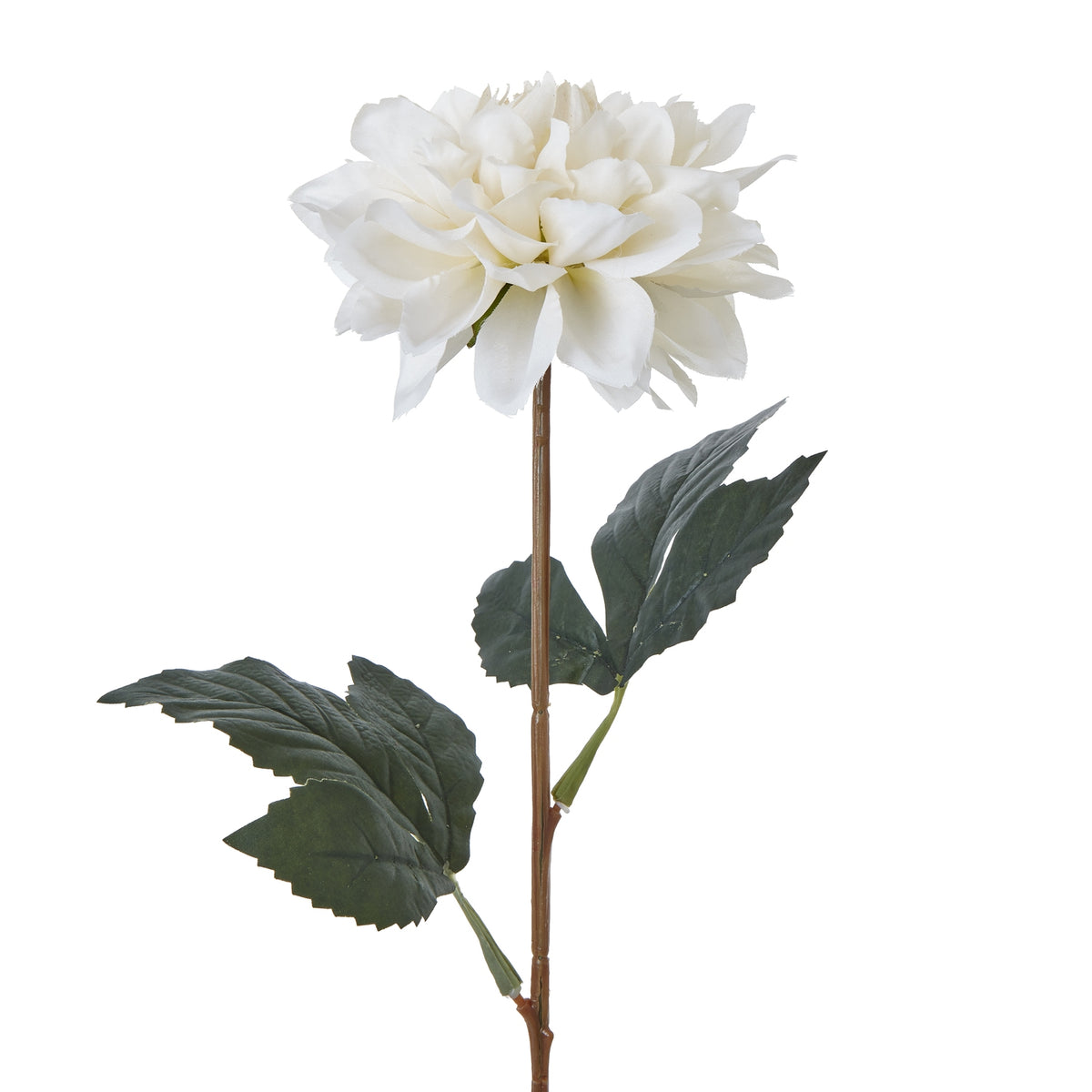 Natural Garden Collection Tall White Dahlia - White