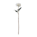 Natural Garden Collection Tall White Dahlia