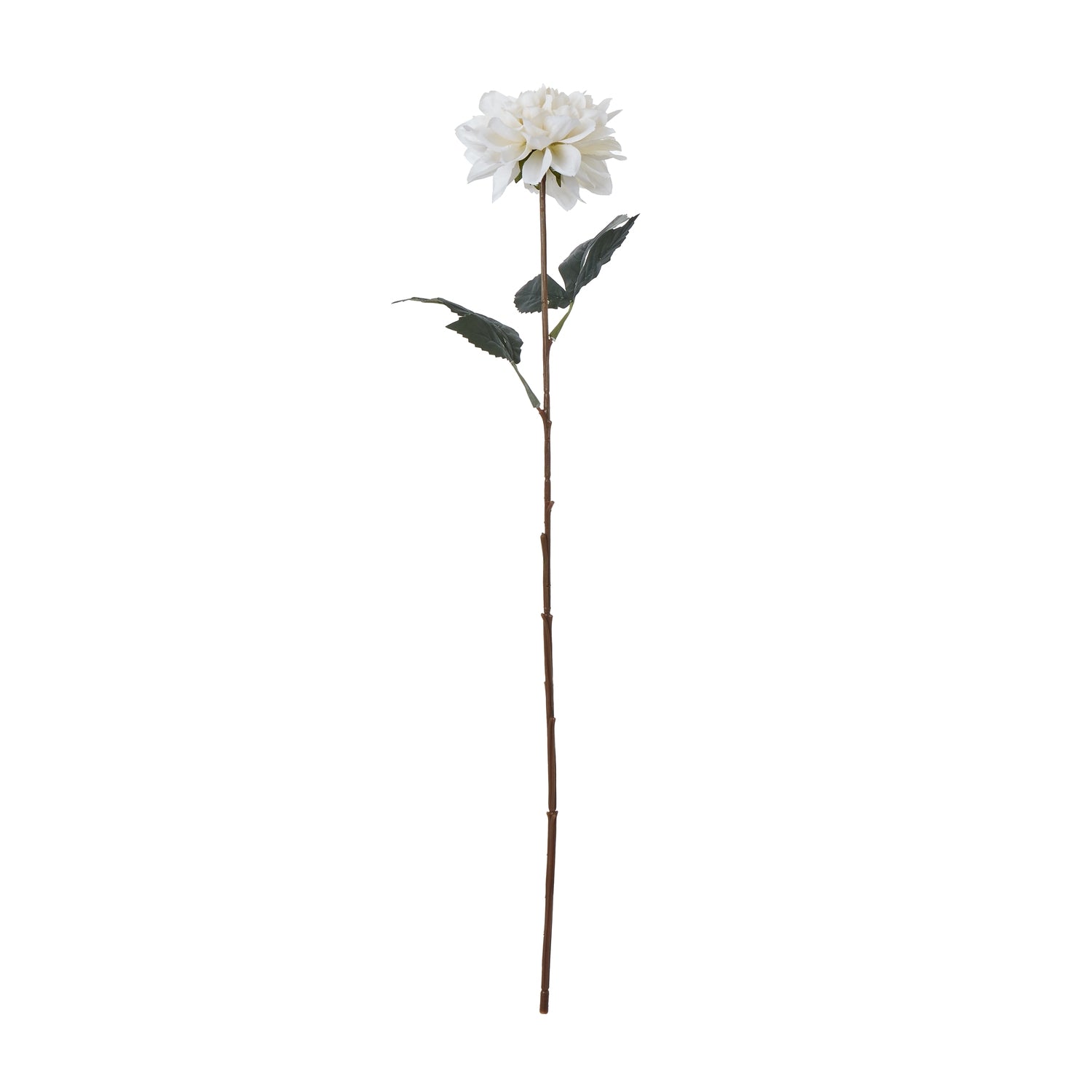 Natural Garden Collection Tall White Dahlia