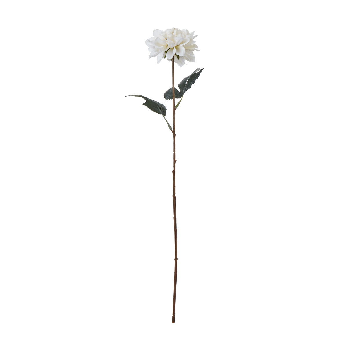 Natural Garden Collection Tall White Dahlia - White