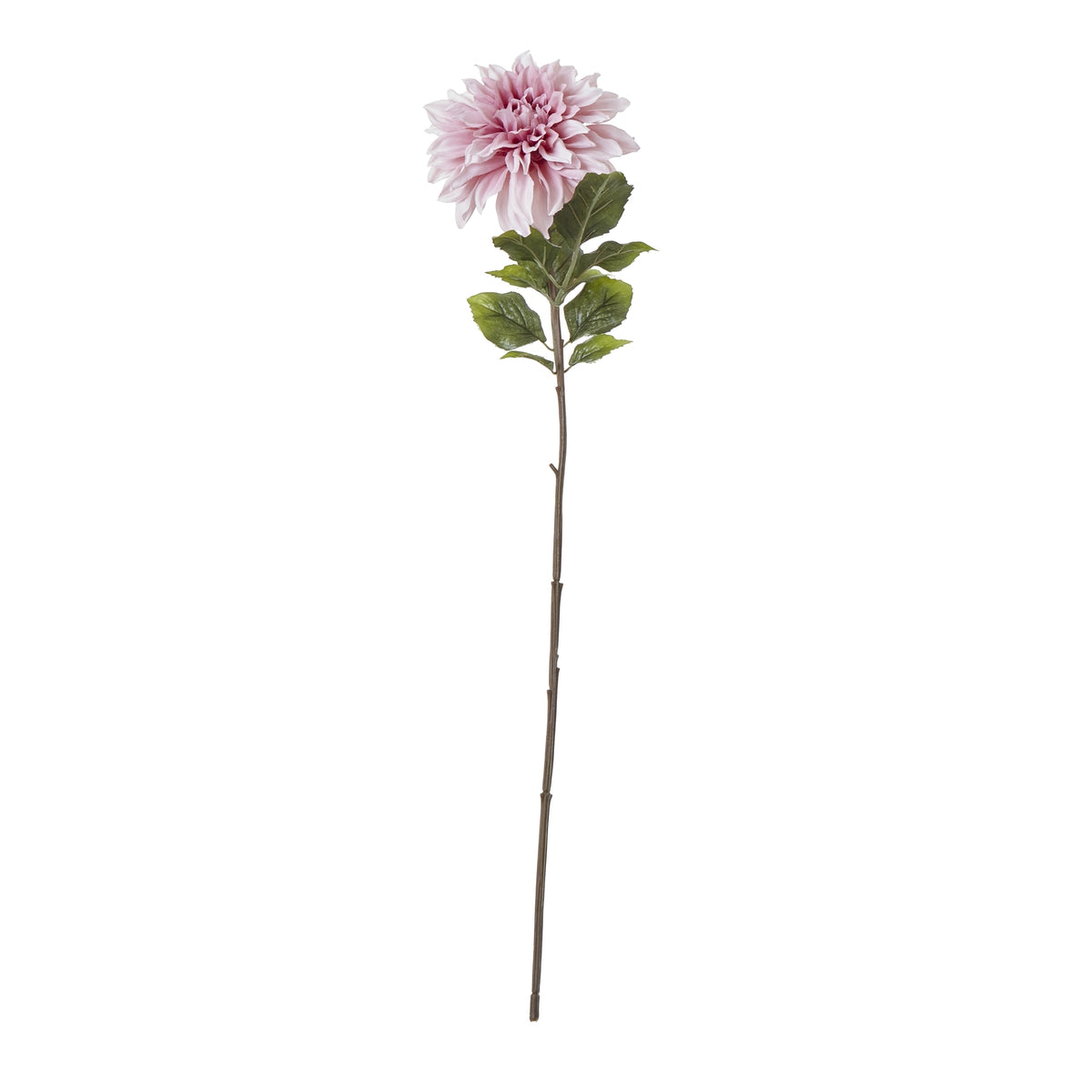 Natural Garden Collection Pink Dahlia - Pink