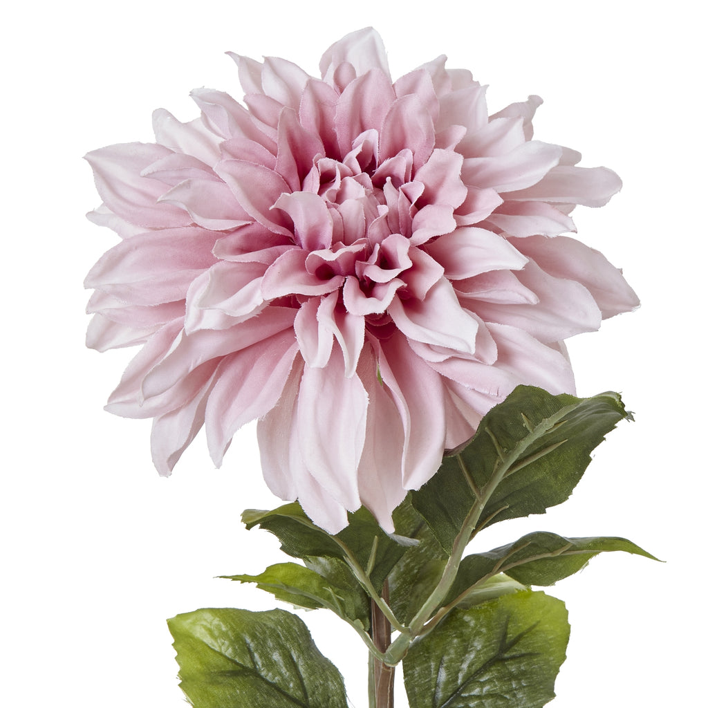 Natural Garden Collection Pink Dahlia - Pink
