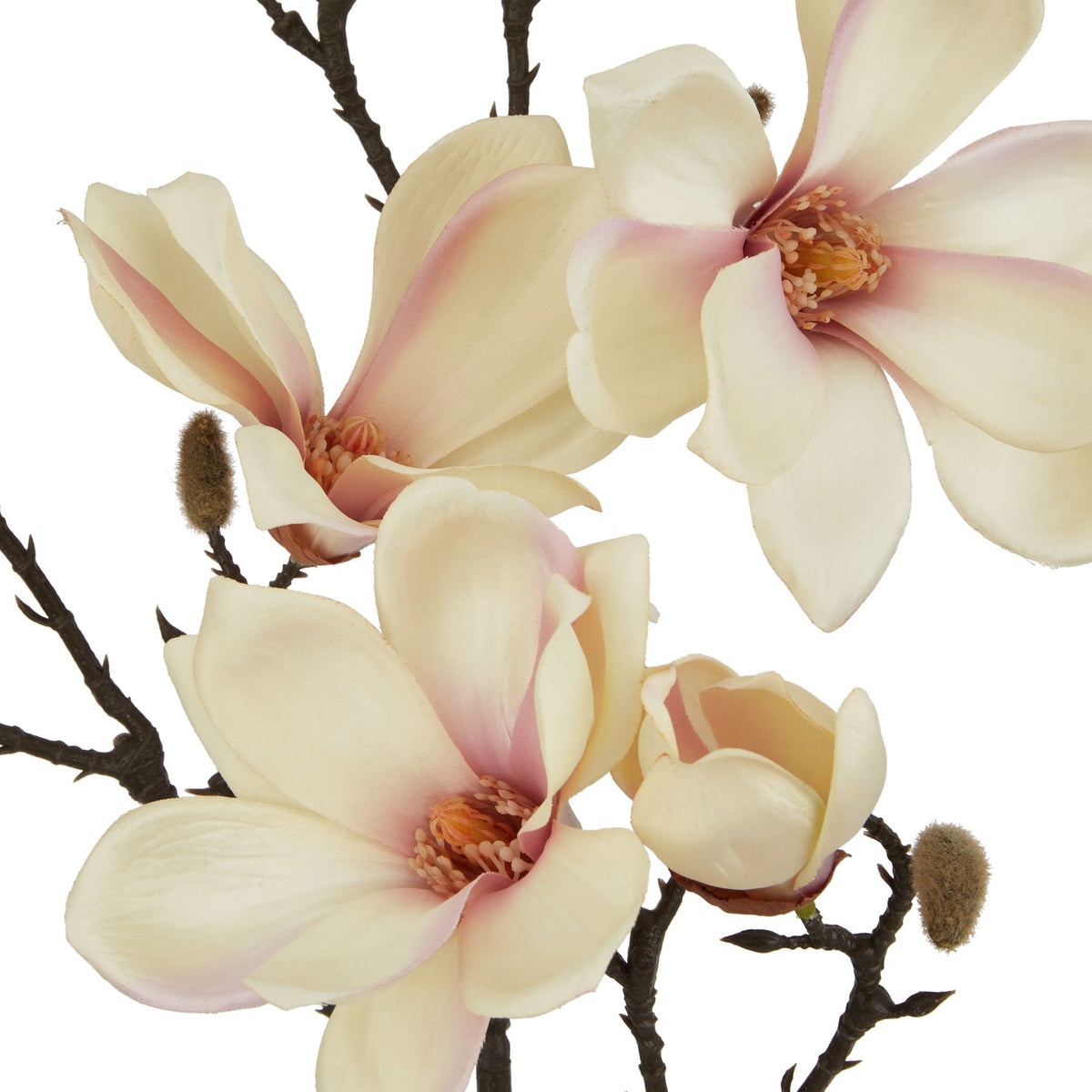 Natural Garden Collection Pale Apricot Magnolia Stem