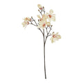 Natural Garden Collection Pale Apricot Magnolia Stem
