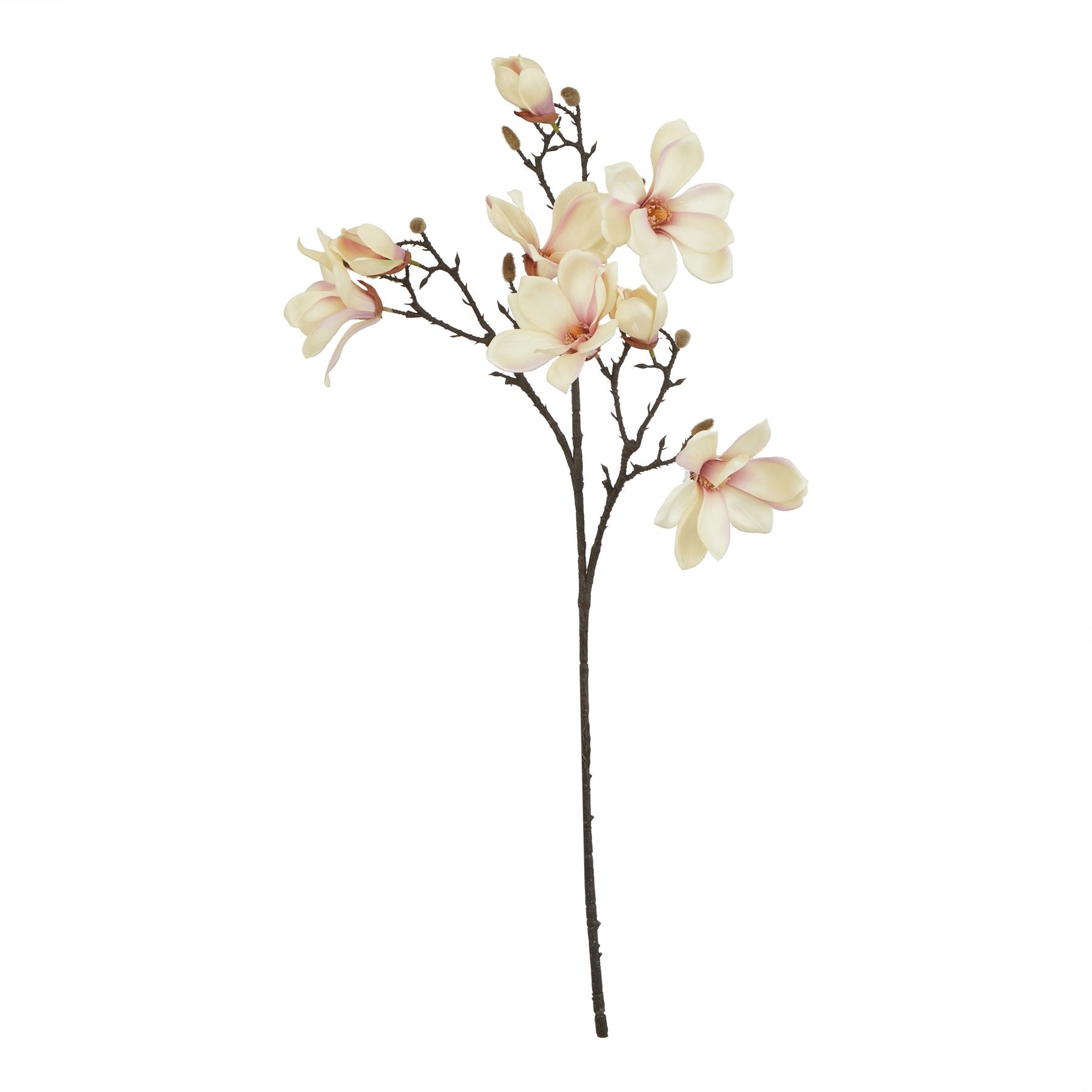 Natural Garden Collection Pale Apricot Magnolia Stem