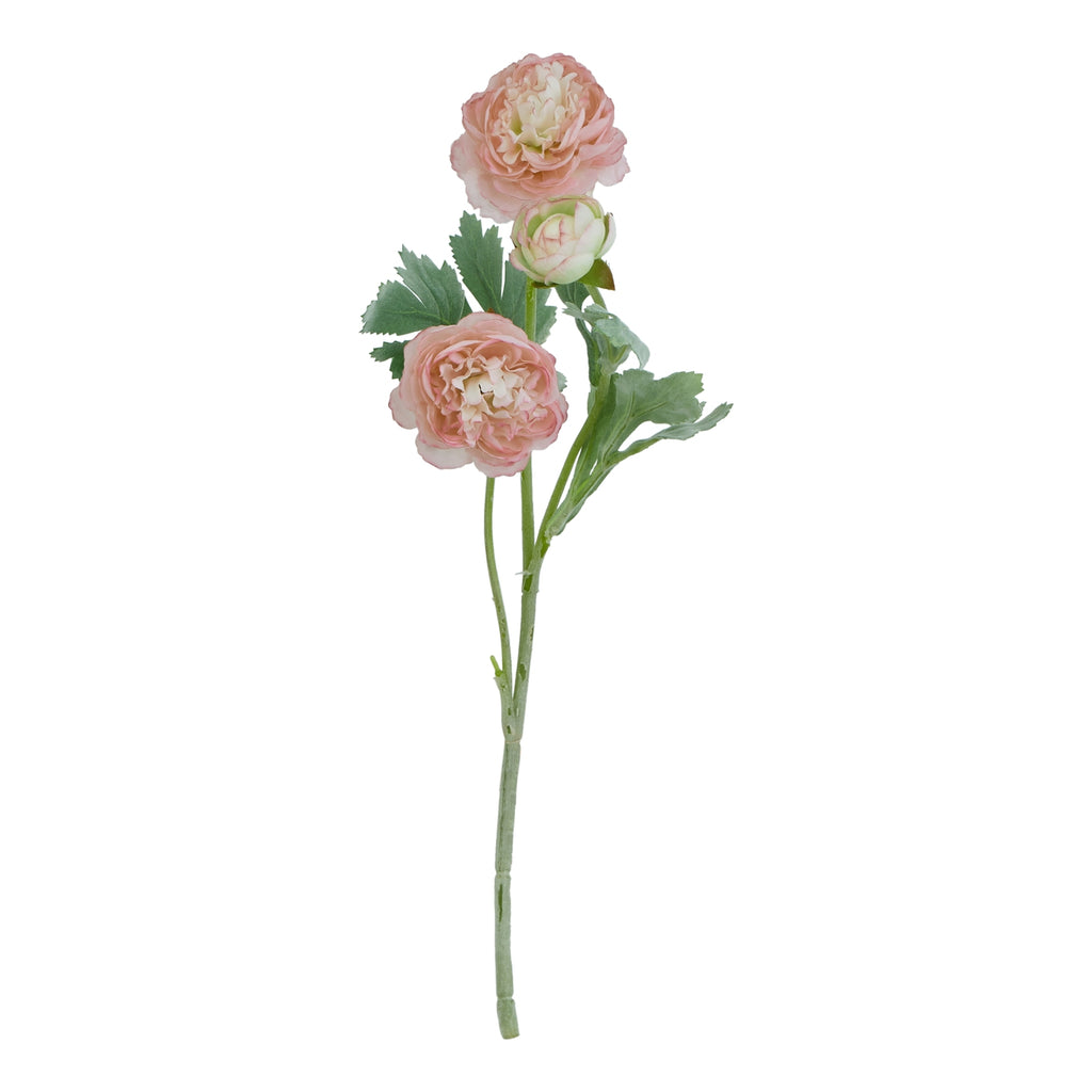 Natural Garden Collection Pink Ranunculus - Pink