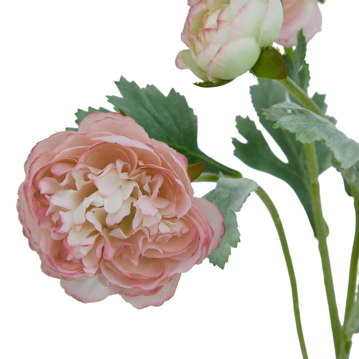 Natural Garden Collection Pink Ranunculus - Pink
