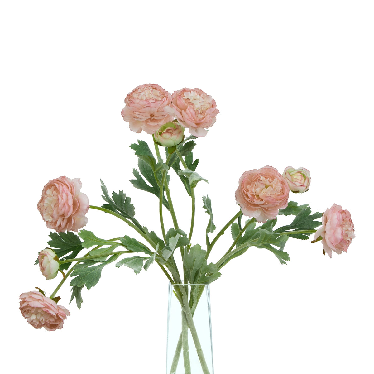 Natural Garden Collection Pink Ranunculus - Pink