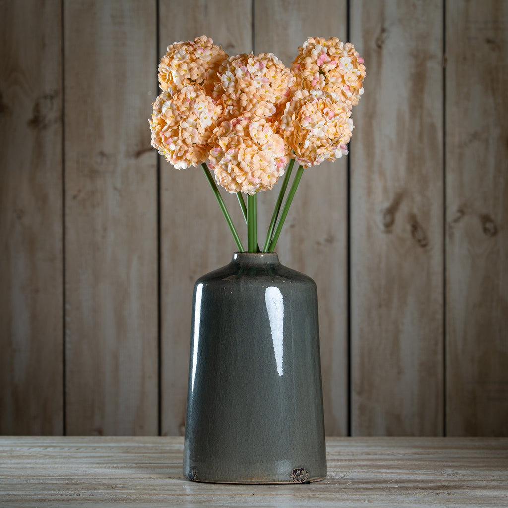 Natural Garden Collection White Allium - White