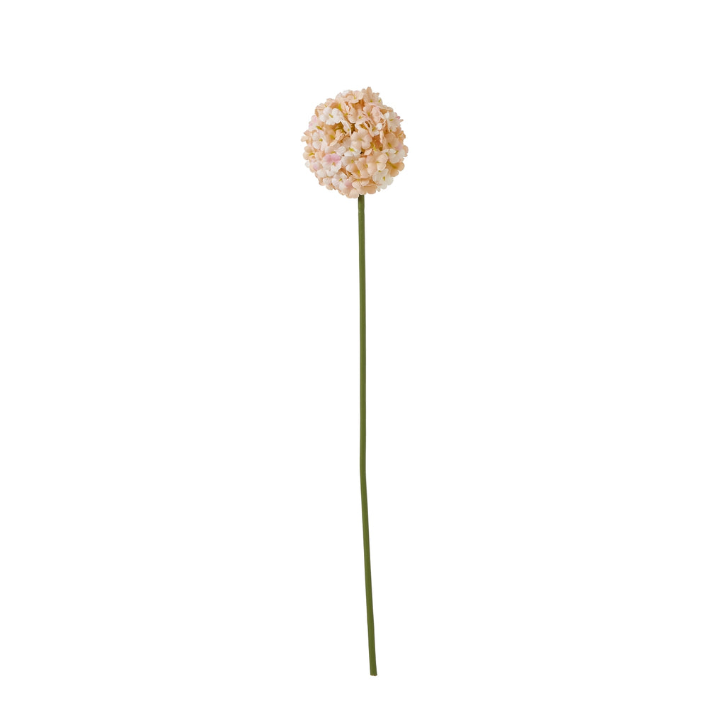 Natural Garden Collection White Allium - White