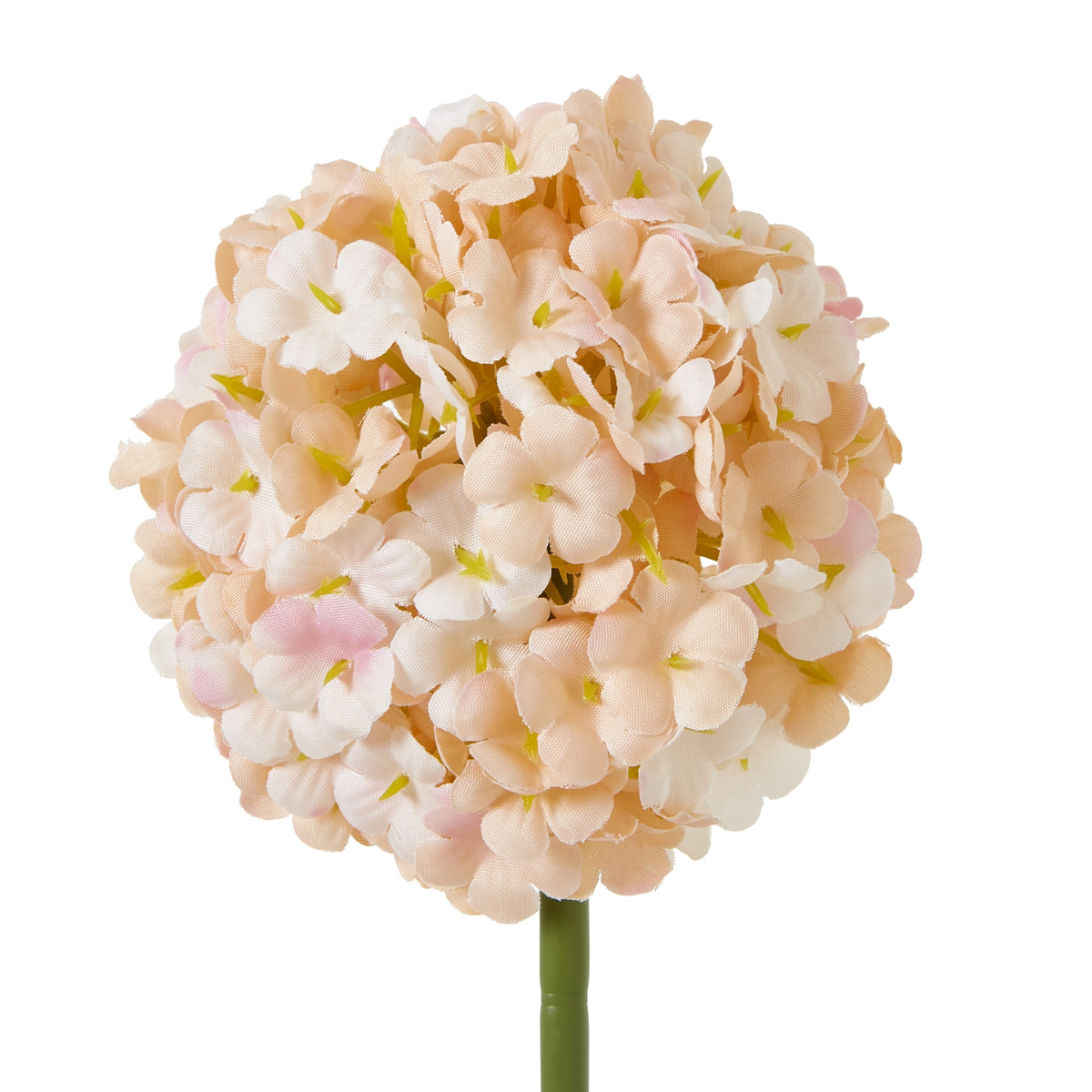 Natural Garden Collection White Allium - White