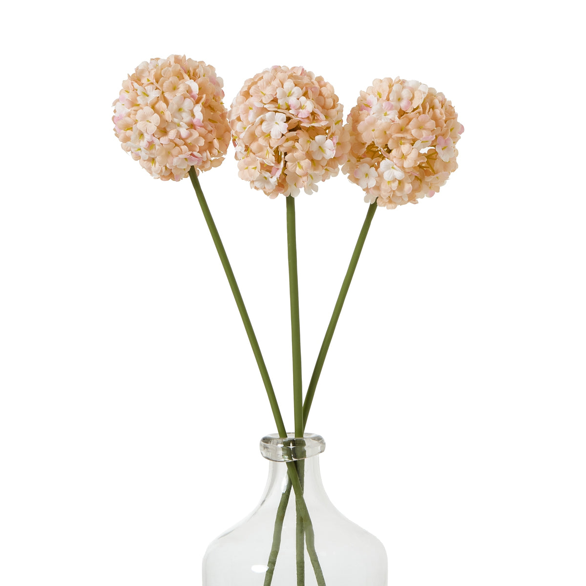 Natural Garden Collection White Allium - White