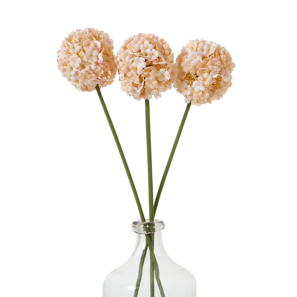 Natural Garden Collection White & Apricot Allium - White