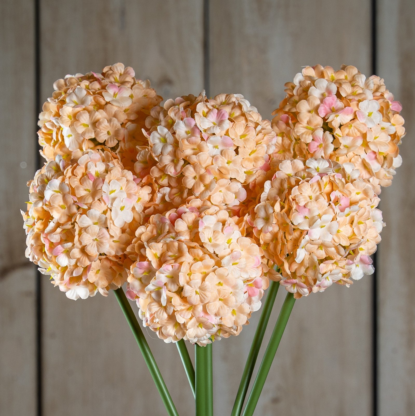 Natural Garden Collection White & Apricot Allium