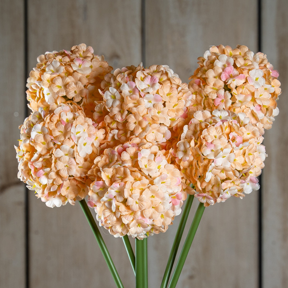 Natural Garden Collection White Allium - White