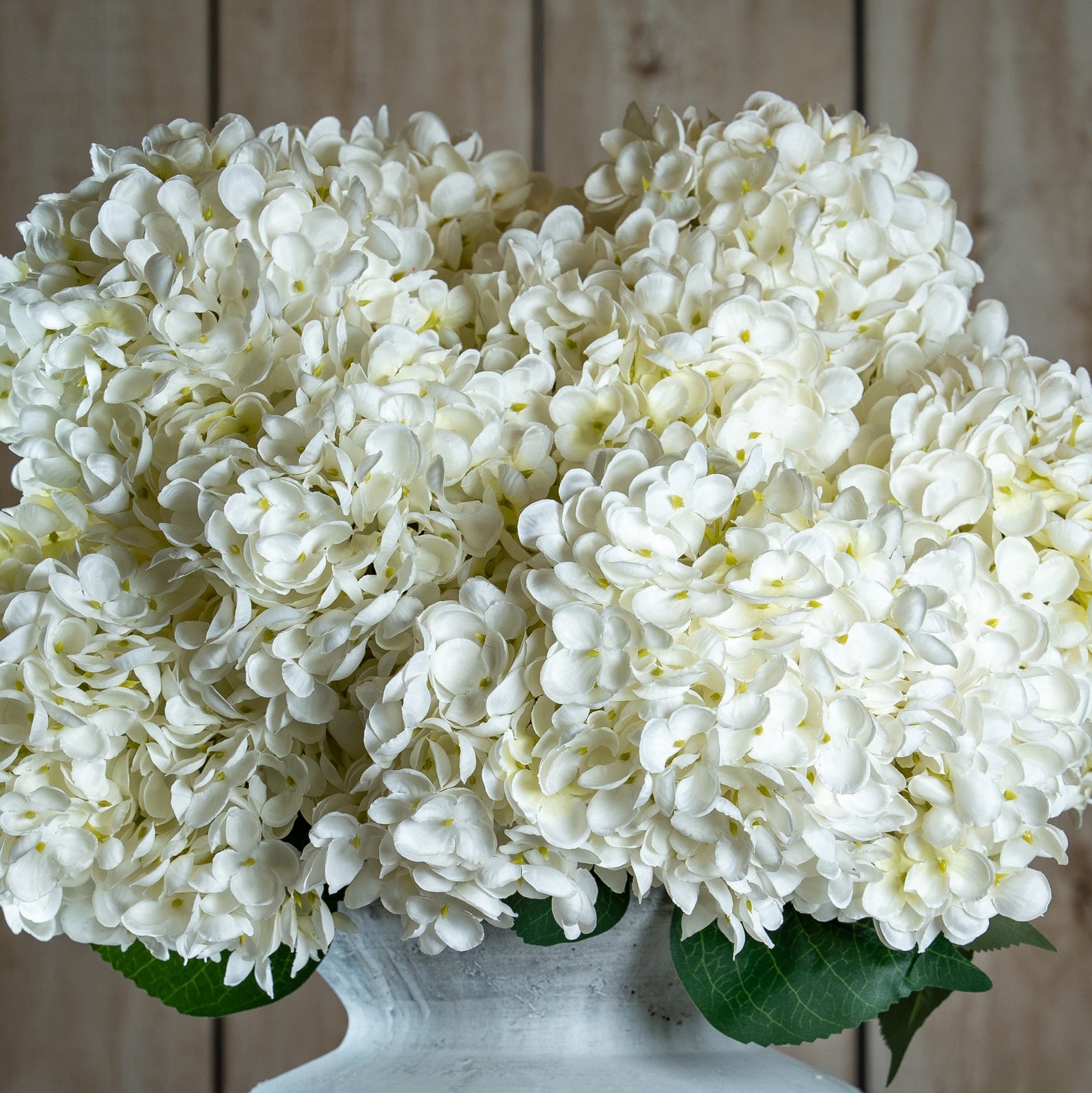 Natural Garden Collection White Allium