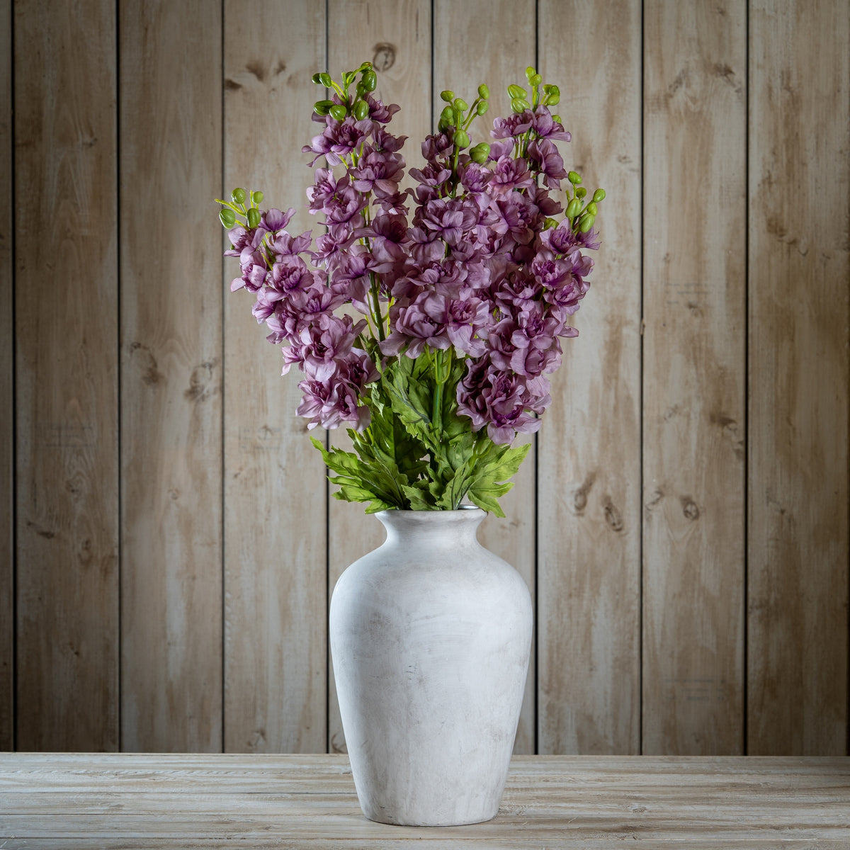 Natural Garden Collection Purple Elatum Delphinium - Purple