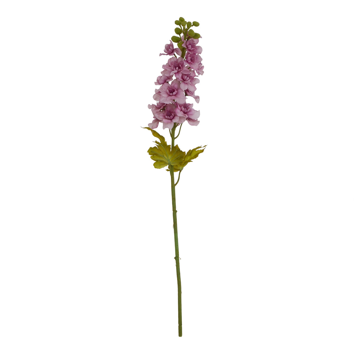 Natural Garden Collection Purple Elatum Delphinium - Purple