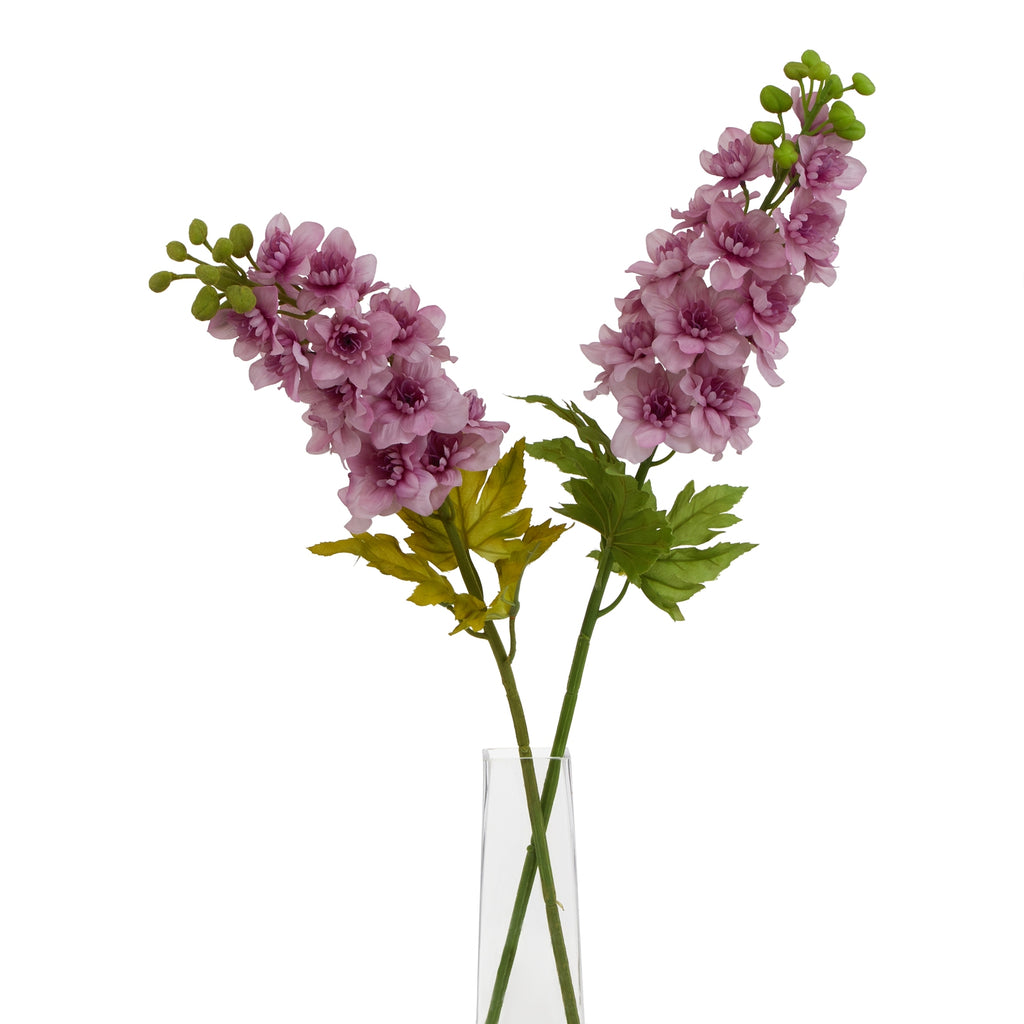Natural Garden Collection Purple Elatum Delphinium - Purple